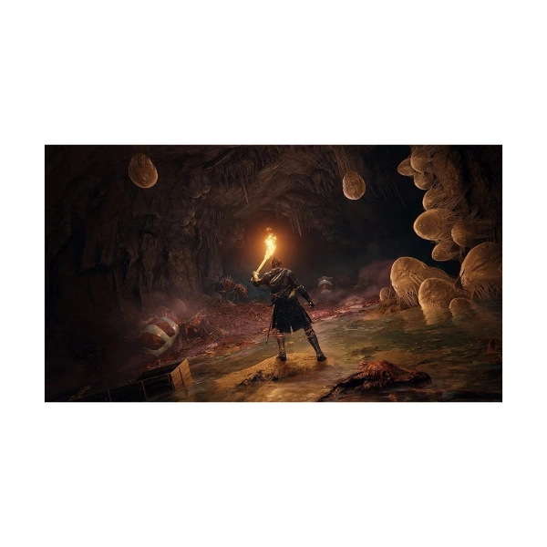 PS4 Eldenring - Image 3